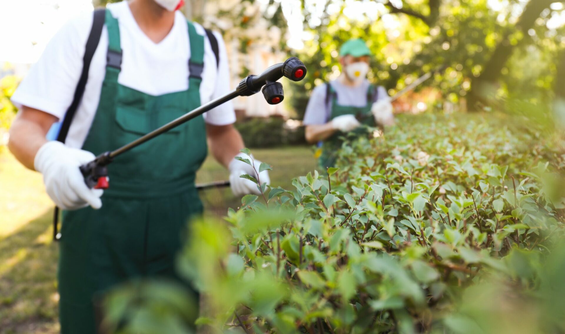 the best pest control companies