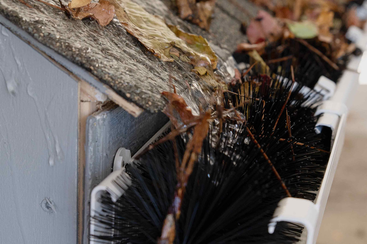 Rainwater flows over a shingled roof edge, past wet leaves, into a gutter equipped with a brush guard.