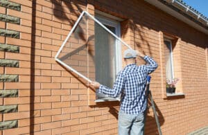 Screen replacement cost