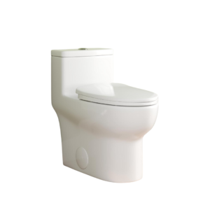 DV-1F026 Elongated One Piece Toilet Image